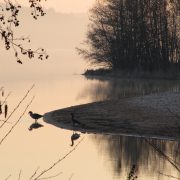 Strand am Kleinen Brombachsee