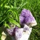 Amethyst, Spitzwegerich,