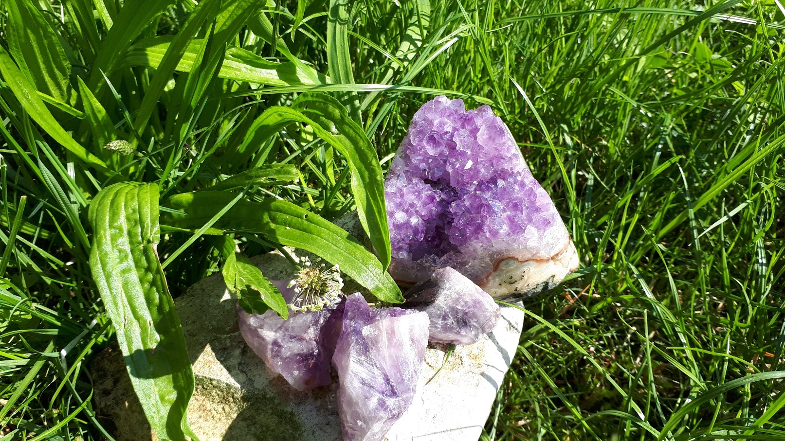 Amethyst, Spitzwegerich,