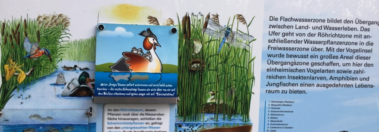 Infotafel Vogelinsel Altmühlsee