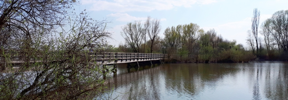 Vogelinsel Altmühlsee, Brücke