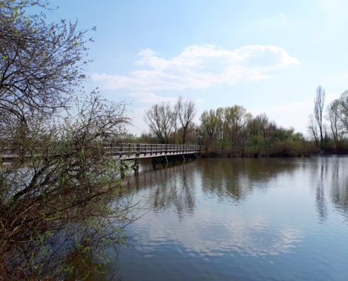 Brücke zur Vogelinsel