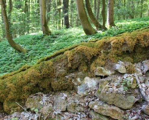 Steinerne Rinne seitlich