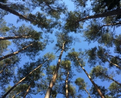 Himmelsblick - Seele baumeln lassen