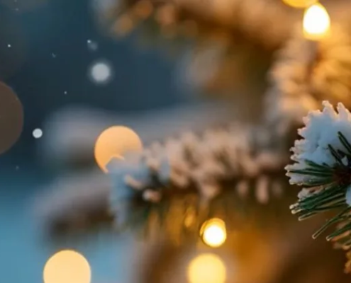 Winterlicher Adventszauber am Brombachsee