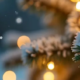 Winterlicher Adventszauber am Brombachsee