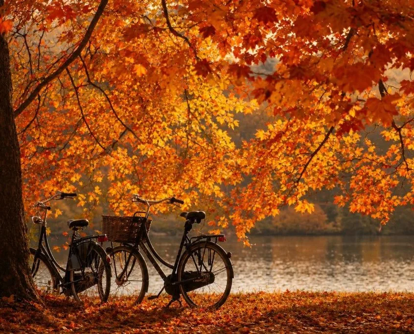 Herbst am See Herbstferien