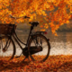 Herbstferien am See