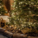 Weihnachtszauber am Brombachsee