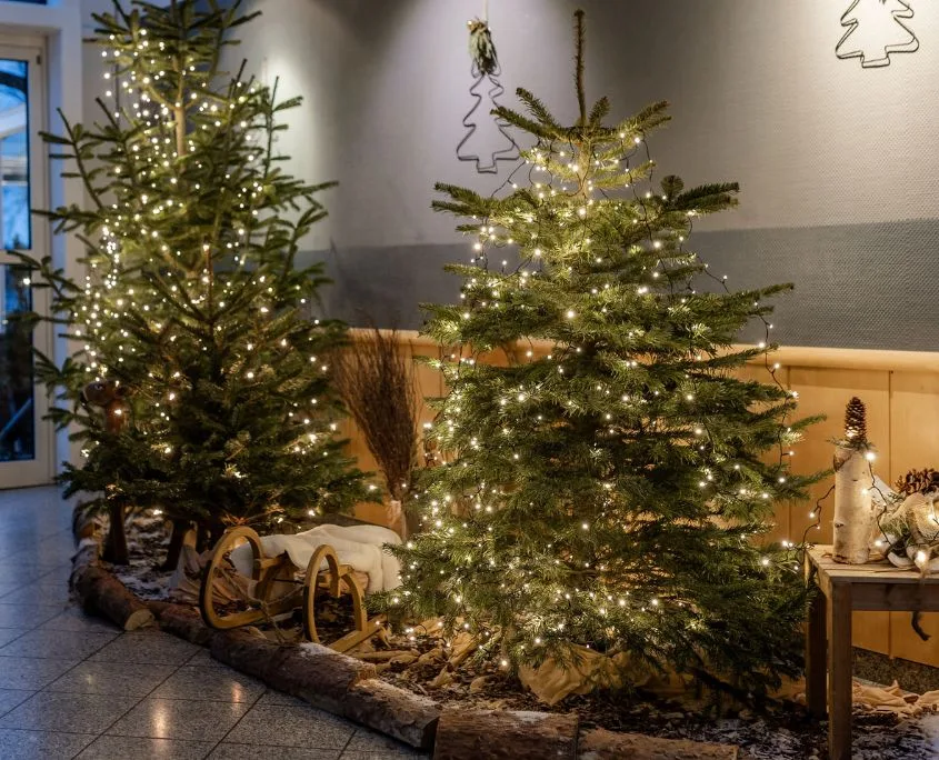 Weihnachtszauber am Brombachsee