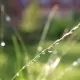 Fastenwoche im Strandhotel Seehof